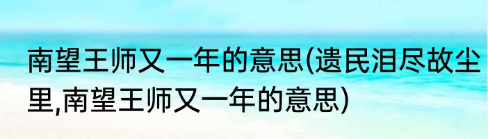 南望王师又一年的意思(遗民泪尽故尘里,南望王师又一年的意思)