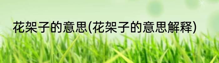 花架子的意思(花架子的意思解释)