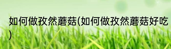 如何做孜然蘑菇(如何做孜然蘑菇好吃)