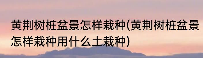 黄荆树桩盆景怎样栽种(黄荆树桩盆景怎样栽种用什么土栽种)