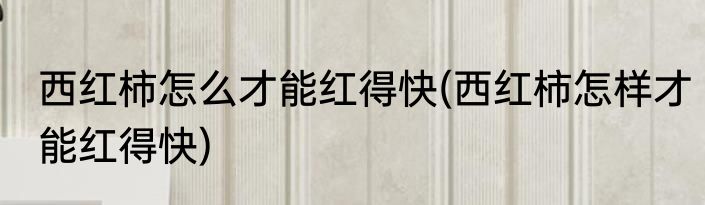 西红柿怎么才能红得快(西红柿怎样才能红得快)