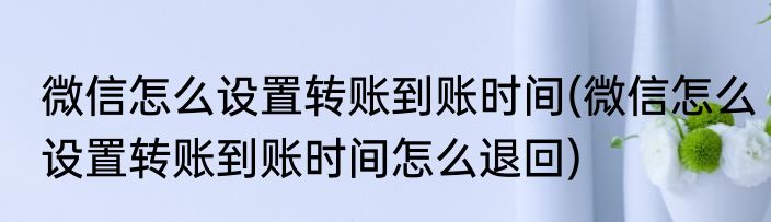 微信怎么设置转账到账时间(微信怎么设置转账到账时间怎么退回)