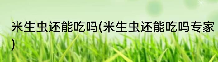 米生虫还能吃吗(米生虫还能吃吗专家)