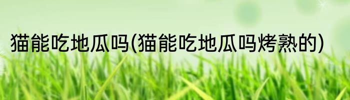 猫能吃地瓜吗(猫能吃地瓜吗烤熟的)