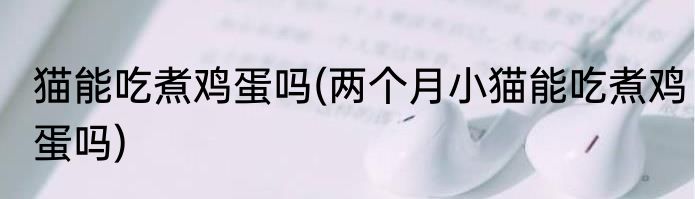 猫能吃煮鸡蛋吗(两个月小猫能吃煮鸡蛋吗)