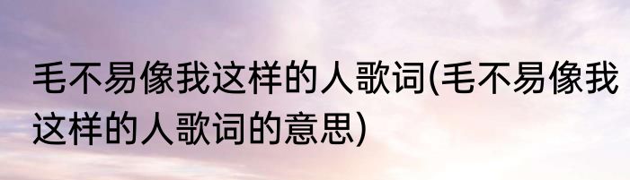 毛不易像我这样的人歌词(毛不易像我这样的人歌词的意思)