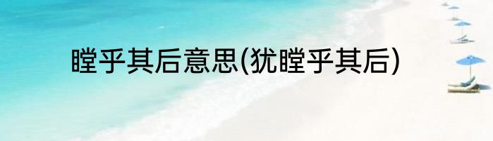 瞠乎其后意思(犹瞠乎其后)
