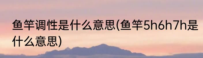 鱼竿调性是什么意思(鱼竿5h6h7h是什么意思)
