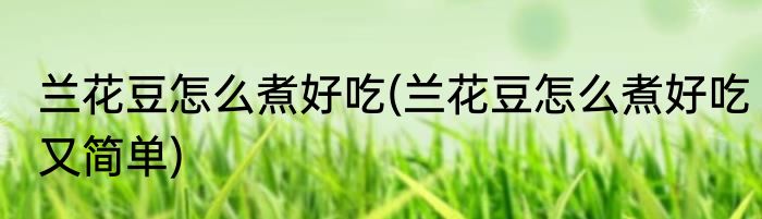 兰花豆怎么煮好吃(兰花豆怎么煮好吃又简单)