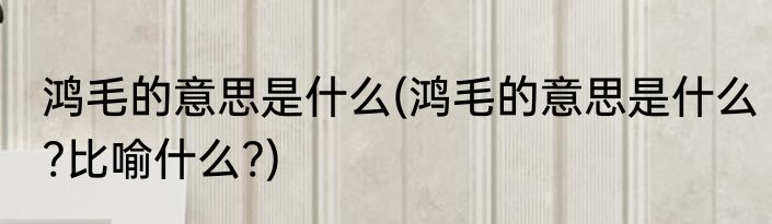 鸿毛的意思是什么(鸿毛的意思是什么?比喻什么?)