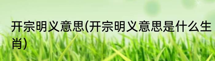 开宗明义意思(开宗明义意思是什么生肖)