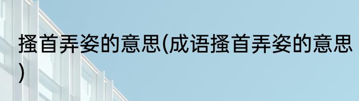 搔首弄姿的意思(成语搔首弄姿的意思)