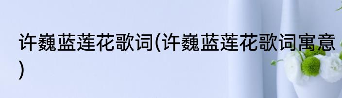 许巍蓝莲花歌词(许巍蓝莲花歌词寓意)