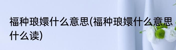 福种琅嬛什么意思(福种琅嬛什么意思什么读)