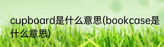 cupboard是什么意思(bookcase是什么意思)