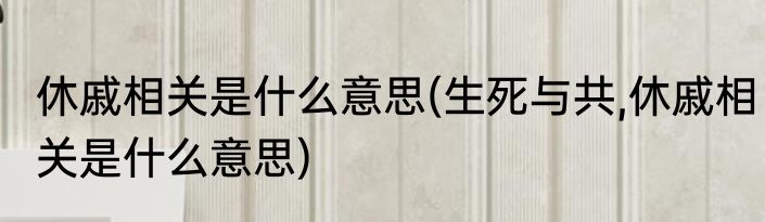 休戚相关是什么意思(生死与共,休戚相关是什么意思)