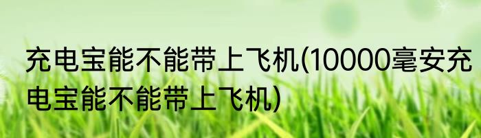 充电宝能不能带上飞机(10000毫安充电宝能不能带上飞机)