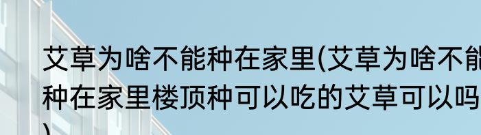 艾草为啥不能种在家里(艾草为啥不能种在家里楼顶种可以吃的艾草可以吗?)