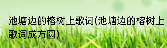 池塘边的榕树上歌词(池塘边的榕树上歌词成方圆)