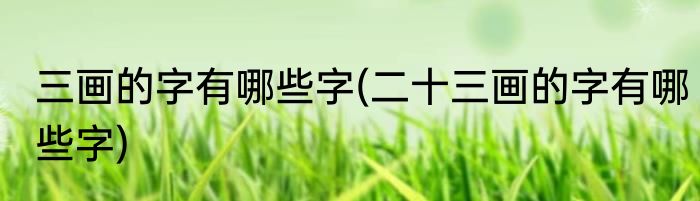 三画的字有哪些字(二十三画的字有哪些字)