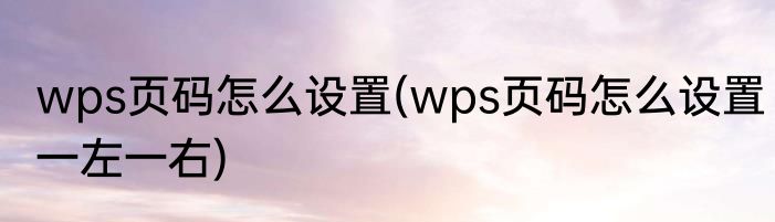 wps页码怎么设置(wps页码怎么设置一左一右)