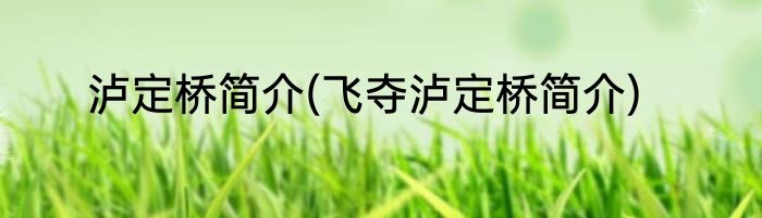 泸定桥简介(飞夺泸定桥简介)