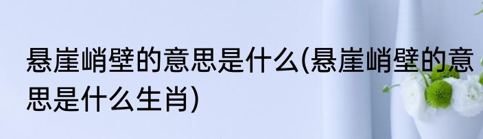 悬崖峭壁的意思是什么(悬崖峭壁的意思是什么生肖)