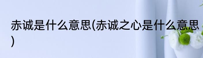 赤诚是什么意思(赤诚之心是什么意思)