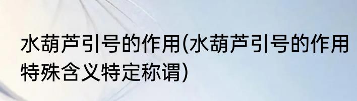 水葫芦引号的作用(水葫芦引号的作用特殊含义特定称谓)
