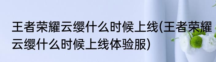 王者荣耀云缨什么时候上线(王者荣耀云缨什么时候上线体验服)