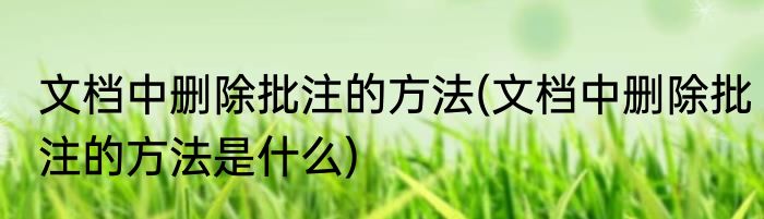 文档中删除批注的方法(文档中删除批注的方法是什么)