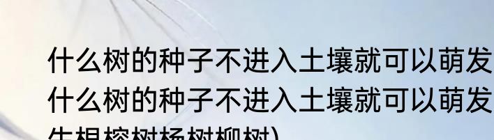 什么树的种子不进入土壤就可以萌发(什么树的种子不进入土壤就可以萌发生根榕树杨树柳树)