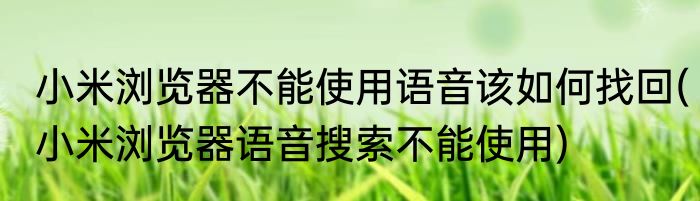 小米浏览器不能使用语音该如何找回(小米浏览器语音搜索不能使用)