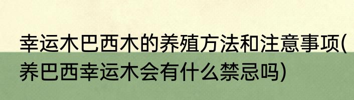 幸运木巴西木的养殖方法和注意事项(养巴西幸运木会有什么禁忌吗)