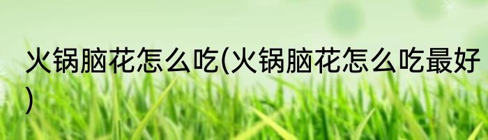 火锅脑花怎么吃(火锅脑花怎么吃最好)