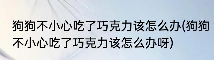 狗狗不小心吃了巧克力该怎么办(狗狗不小心吃了巧克力该怎么办呀)