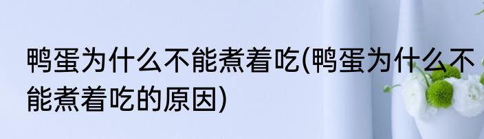 鸭蛋为什么不能煮着吃(鸭蛋为什么不能煮着吃的原因)