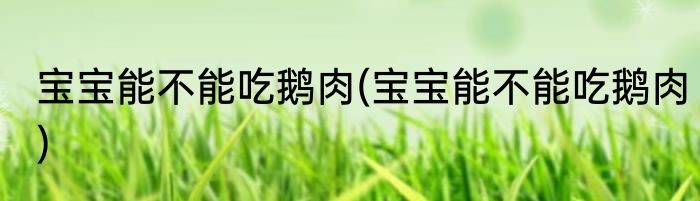 宝宝能不能吃鹅肉(宝宝能不能吃鹅肉)