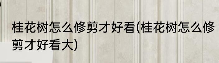 桂花树怎么修剪才好看(桂花树怎么修剪才好看大)