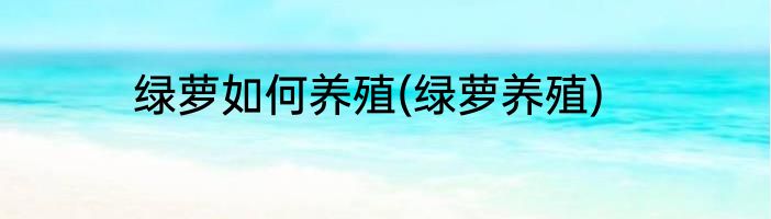 绿萝如何养殖(绿萝养殖)