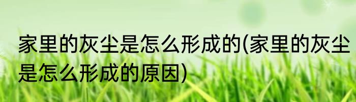 家里的灰尘是怎么形成的(家里的灰尘是怎么形成的原因)