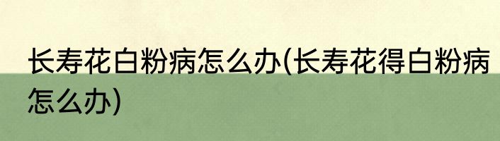 长寿花白粉病怎么办(长寿花得白粉病怎么办)