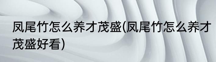 凤尾竹怎么养才茂盛(凤尾竹怎么养才茂盛好看)