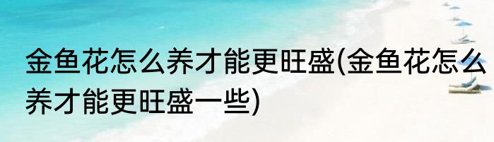金鱼花怎么养才能更旺盛(金鱼花怎么养才能更旺盛一些)