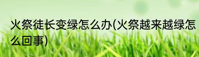 火祭徒长变绿怎么办(火祭越来越绿怎么回事)