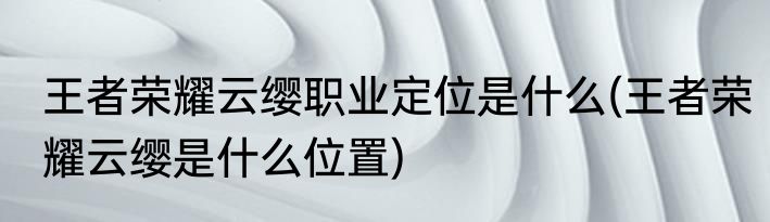 王者荣耀云缨职业定位是什么(王者荣耀云缨是什么位置)