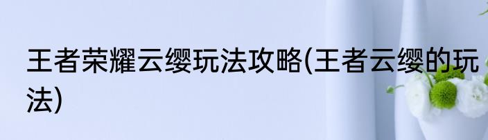 王者荣耀云缨玩法攻略(王者云缨的玩法)