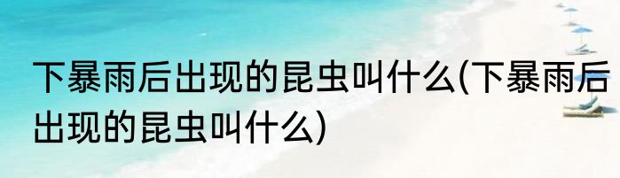 下暴雨后出现的昆虫叫什么(下暴雨后出现的昆虫叫什么)