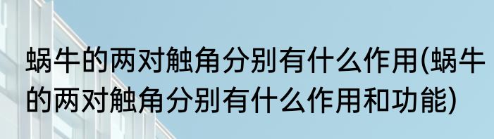 蜗牛的两对触角分别有什么作用(蜗牛的两对触角分别有什么作用和功能)