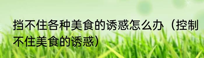挡不住各种美食的诱惑怎么办（控制不住美食的诱惑）